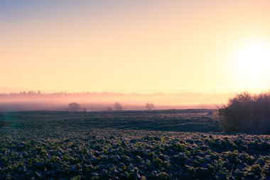 alanın üzerinde gündoğumu
