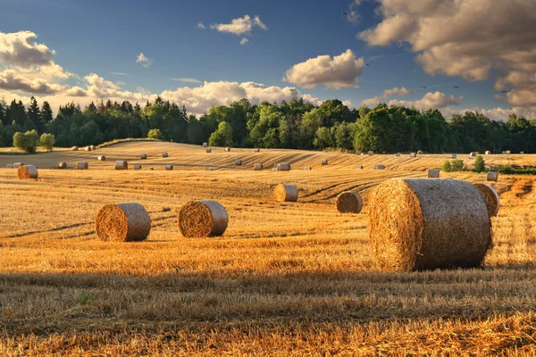 Summer haystacks 2 — Stock Photo, Image