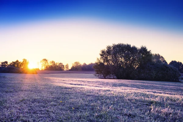 พระอาทิตย์ขึ้นเหนือทุ่งหญ้าแช่แข็ง — ภาพถ่ายสต็อก