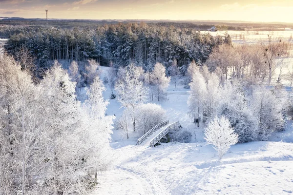 Winter panorama 1 — Stock Photo, Image