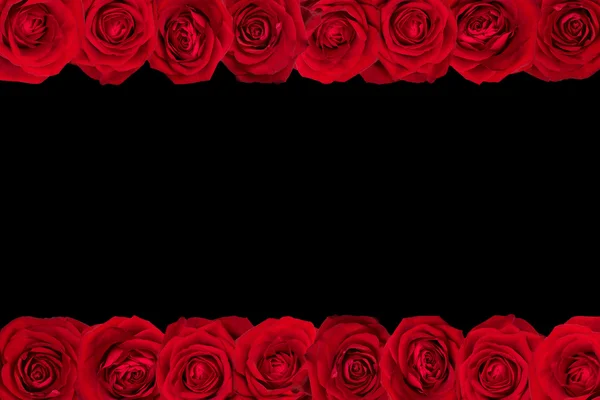Růže v řádcích 2 černý — Stock fotografie
