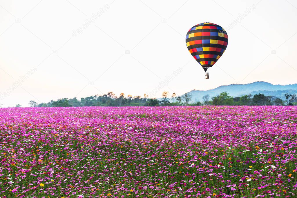 View of color balloon flying over the field flowers