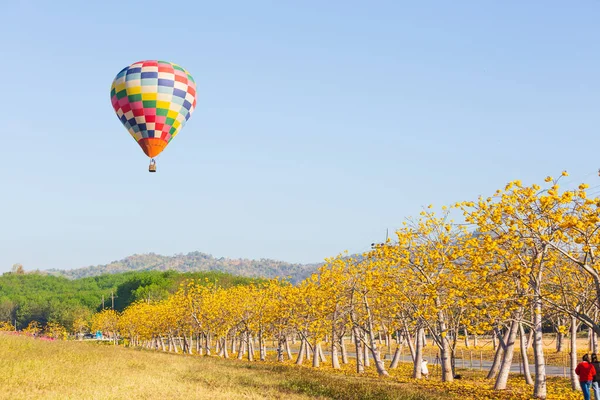 Couleur Montgolfière Dans Ciel Bleu Dessus Beaux Paysages Fleurs — Photo