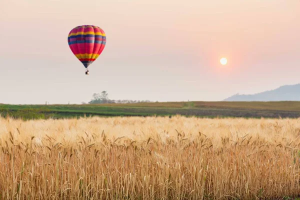 Couleur Montgolfière Dans Ciel Coucher Soleil — Photo