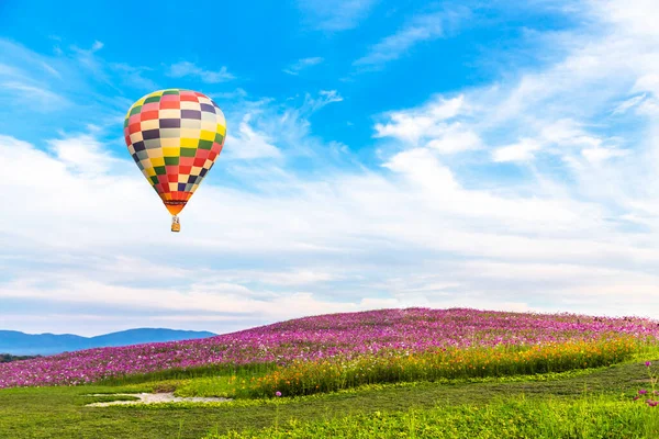 Cor Balão Quente Sobre Cosmos Flores Jardim Fundo Céu Azul — Fotografia de Stock