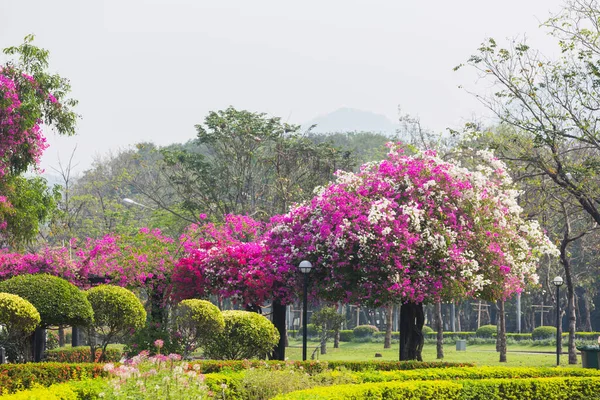 Bahçedeki güzel çiçek manzarası