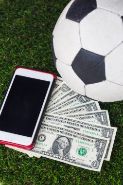  Çimlerin üzerinde dolar banknotları olan futbol topu