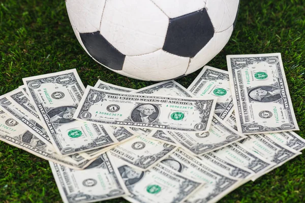  Çimlerin üzerinde dolar banknotları olan futbol topu