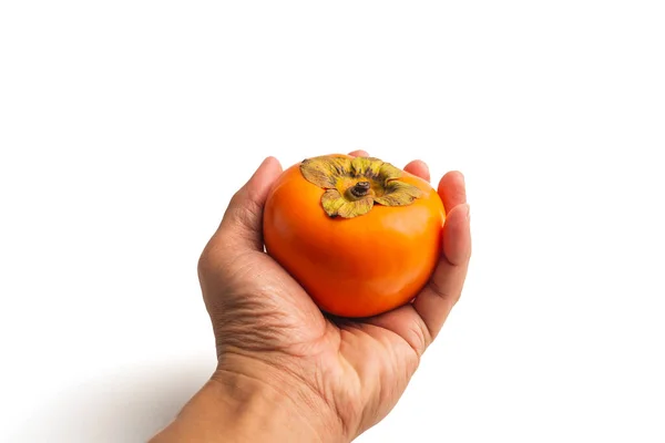 Männliche Hand Hält Persimmon Frucht Isoliert Auf Weißem Hintergrund — Stockfoto
