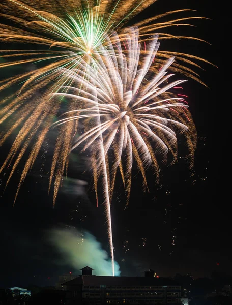 Kara gökyüzü arka planında havai fişek görüntüsü