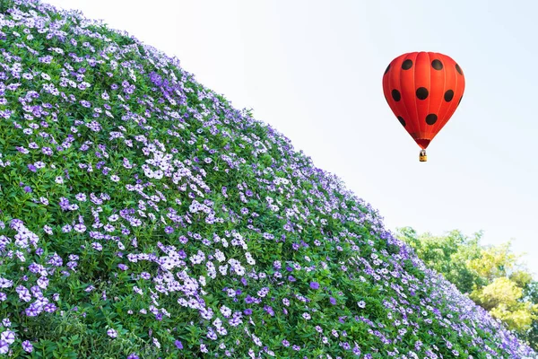 Kleur Hete Lucht Ballon Blauwe Lucht Prachtige Bloemen Landschap — Stockfoto