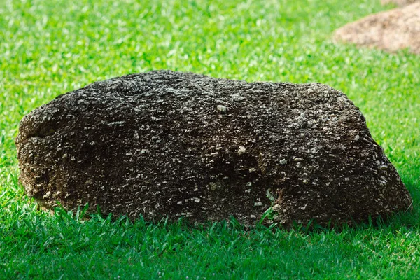 Prachtige Rots Bij Groen Gras Tuin — Stockfoto