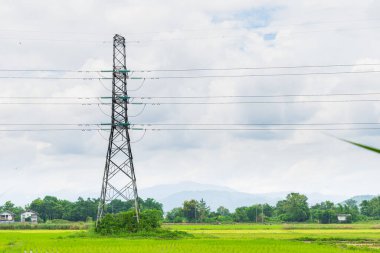 elektrik direği sahada