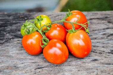 Ahşap zemin üzerinde domatesler 