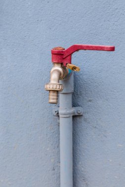 Duvarında kapakçık olan su borusu.