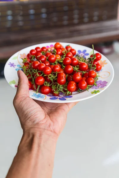 Kadın eli mutfakta taze domates tutuyor.