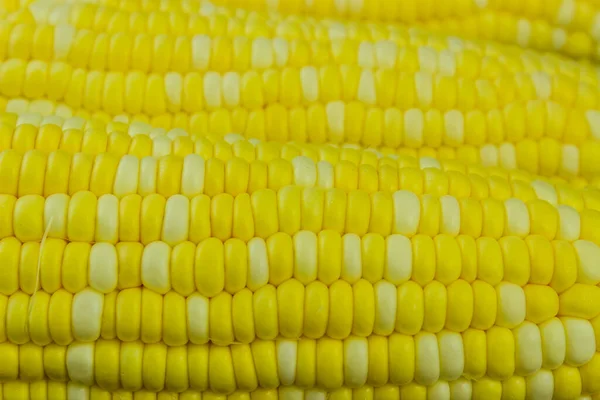 Grains Ripe Corn — Stock Photo, Image
