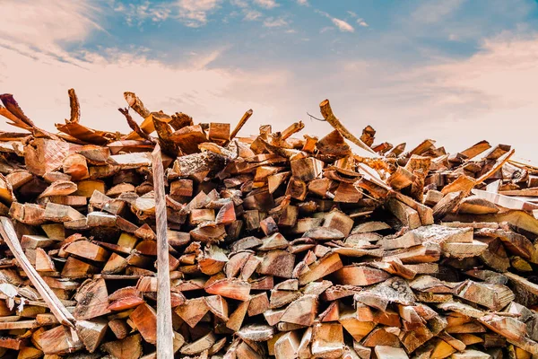 Ahşap kütükler yığın görünümü 