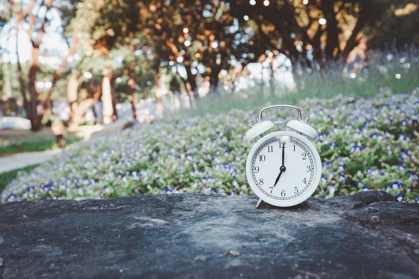 Kayaların üzerine doğal ışık ile yerleştirilmiş beyaz alarm saati..