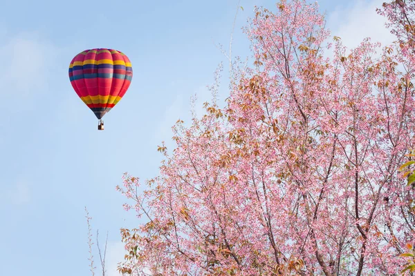 mavi gökyüzünde sıcak hava balonu renginde 