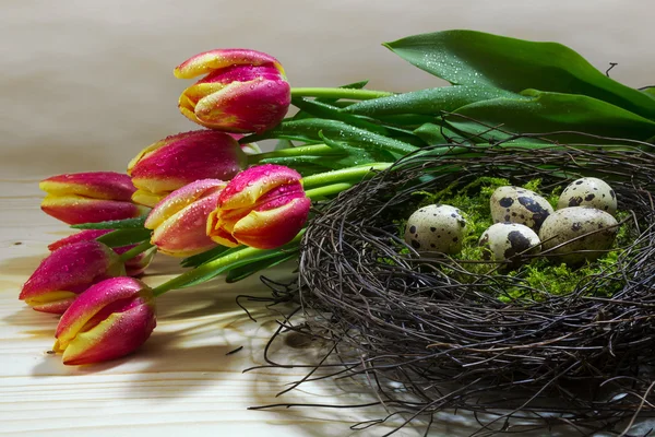 Nest with quail eggs and fresh red yellow tulips  as easter or s — Stock Fotó