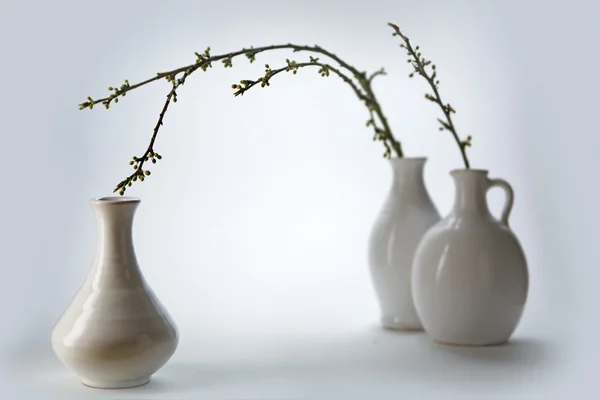 Three white ceramic vases with spring branches on a light ground — Stock Photo, Image