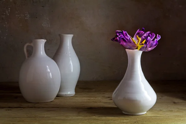 Vasos de cerâmica branca com uma única tulipa roxa com haste visível — Fotografia de Stock