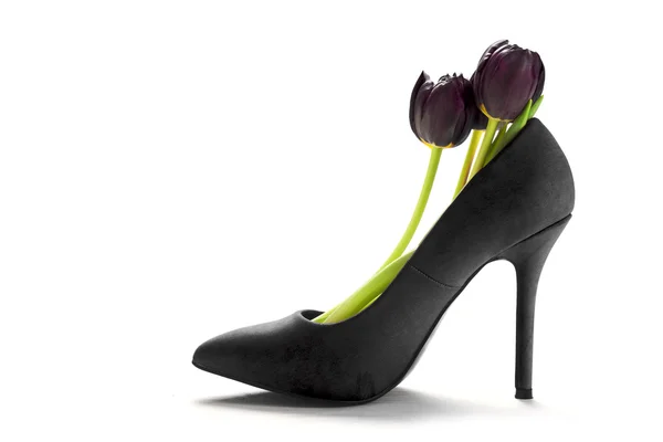 Tulisps sombres dans une chaussure à talons hauts noirs pour dames de profil, isolat — Photo