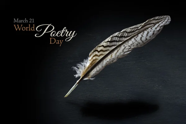 World poetry day Stock Photos, Royalty Free World poetry day Images |  Depositphotos