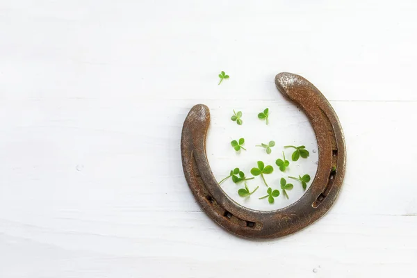 Old lucky horseshoe with a few small clover leaves on white wood — Stock Photo, Image