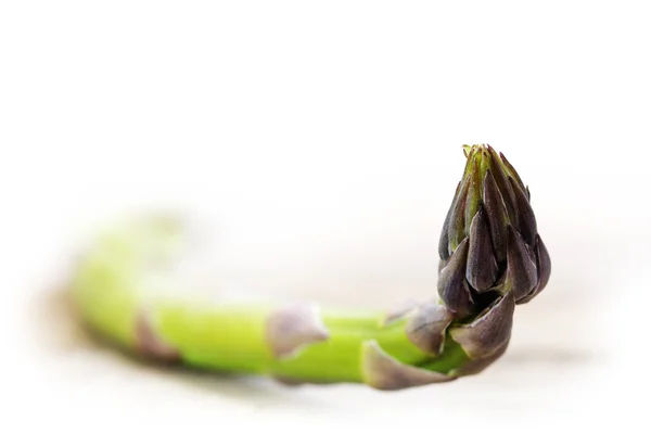 Single green asparagus, macro shot on a light background fading to white — Stock Photo, Image