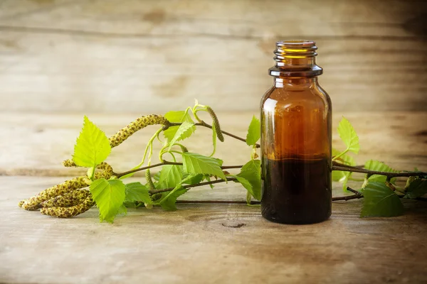 Tintura de abedul en una botella pequeña y ramas con hojas frescas en madera rústica — Foto de Stock