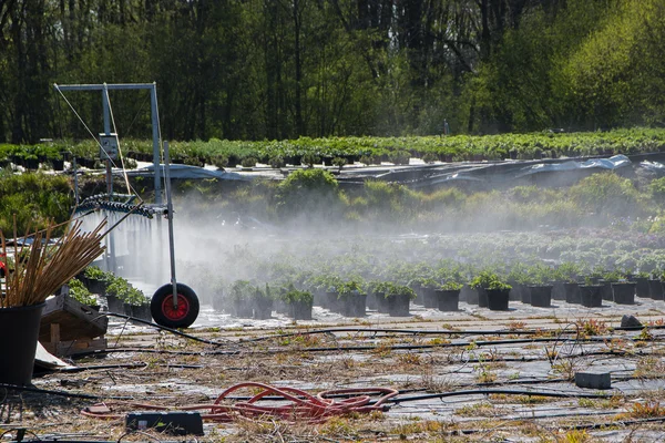 户外灌溉系统，用于在市场花园盆栽 — 图库照片