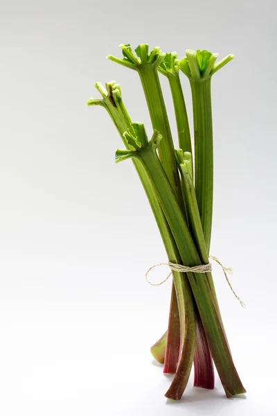 Bunch of rhubarb stalks standing on a light gray background, vertical — Stock Photo, Image