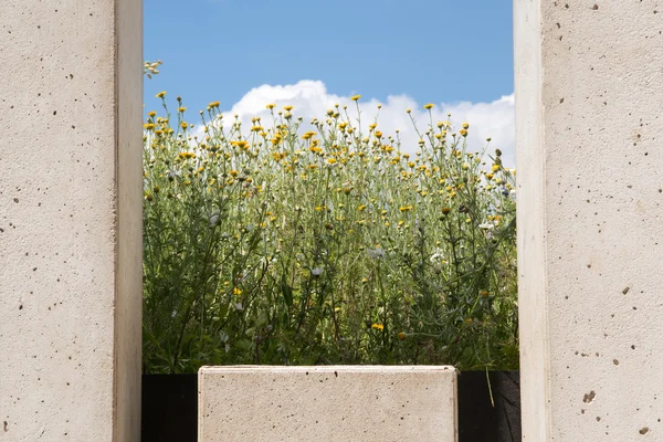 Modern trädgård design, vägg av betongblock med ett fönster, vilda blommor bakom — Stockfoto