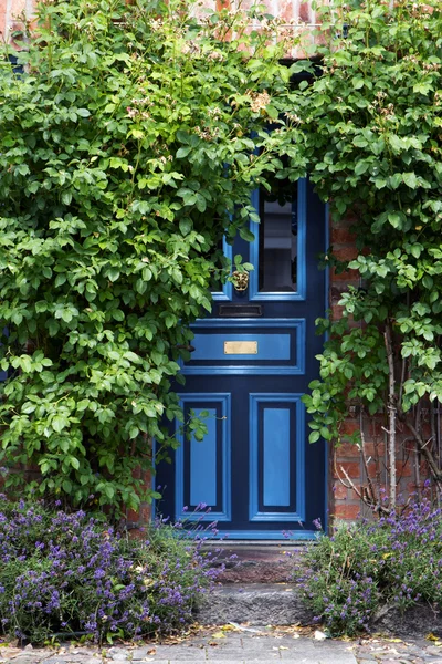 Hermosa puerta delantera azul en una vieja casa de ladrillo cubierto de plantas trepadoras — Foto de Stock