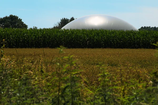 生物气体植物在玉米地反对蓝天, 农业和能源概念 — 图库照片