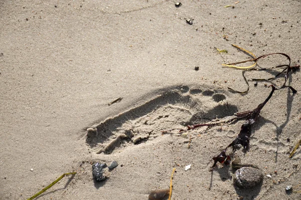 Pegada na areia na praia e algumas pedras e algas marinhas, fundo de férias — Fotografia de Stock