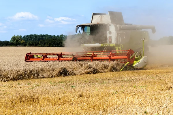 Combine harvester working with dust on the  field in a rural landscape Royalty Free Stock Photos