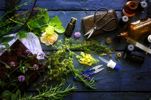 Medicina natural com ervas curativas e equipamentos de cima em uma mesa de madeira escura rústica — Fotografia de Stock