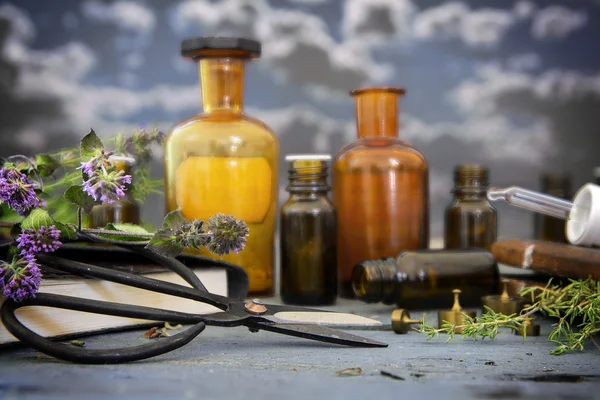 Натуральная медицина, лечебные травы, ножницы и аптечные бутылки — стоковое фото