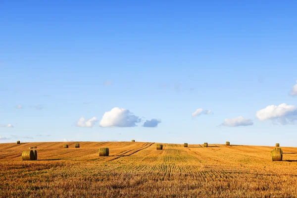 Rundstrohblallen auf einem weiten abgeernteten Stoppelfeld gegen den blauen Himmel — Stockfoto