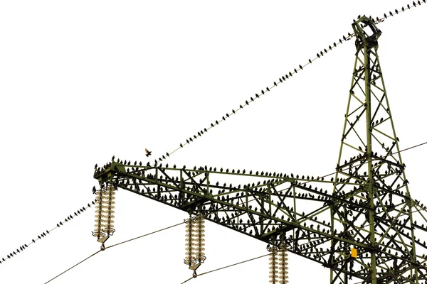 Meeting of many common starlings (Sturnus vulgaris) on a high voltage power pylon — Stock Photo, Image