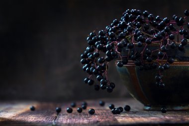 Eski bir kil kase bir rustik ahşap masa karanlık bir arka plan üzerinde siyah elderberries grup (Sambucus nigra)