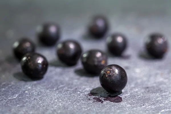 Some elderberries on a blue-gray slate plate, macro shot with selected focus — Stock Photo, Image