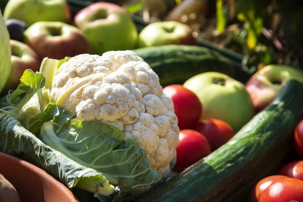 Органическая цветная капуста между овощами и фруктами, такими как помидоры, огурцы и яблоки — стоковое фото