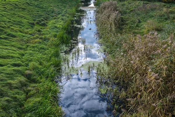 Kleine Rivier Datze Mecklenburg Vorpommern Landschap Met Riet Gras Aan — Stockfoto