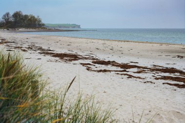 Koronavirüs salgını sırasında terk edilmiş plaj Almanya 'nın Baltık Denizi' ndeki Boltenhagen tatil beldesinde puslu bir sonbahar gününde, kopyalama alanı, seçilmiş odak noktası
