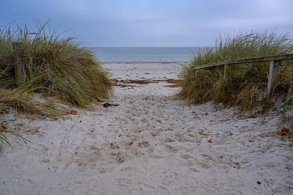 Praia Footpath Através Das Dunas Areia Com Grama Marram Ammophila — Fotografia de Stock