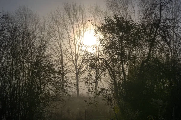 Paesaggio Rurale Con Alba Nella Nebbia Grigia Scura Del Mattino — Foto Stock